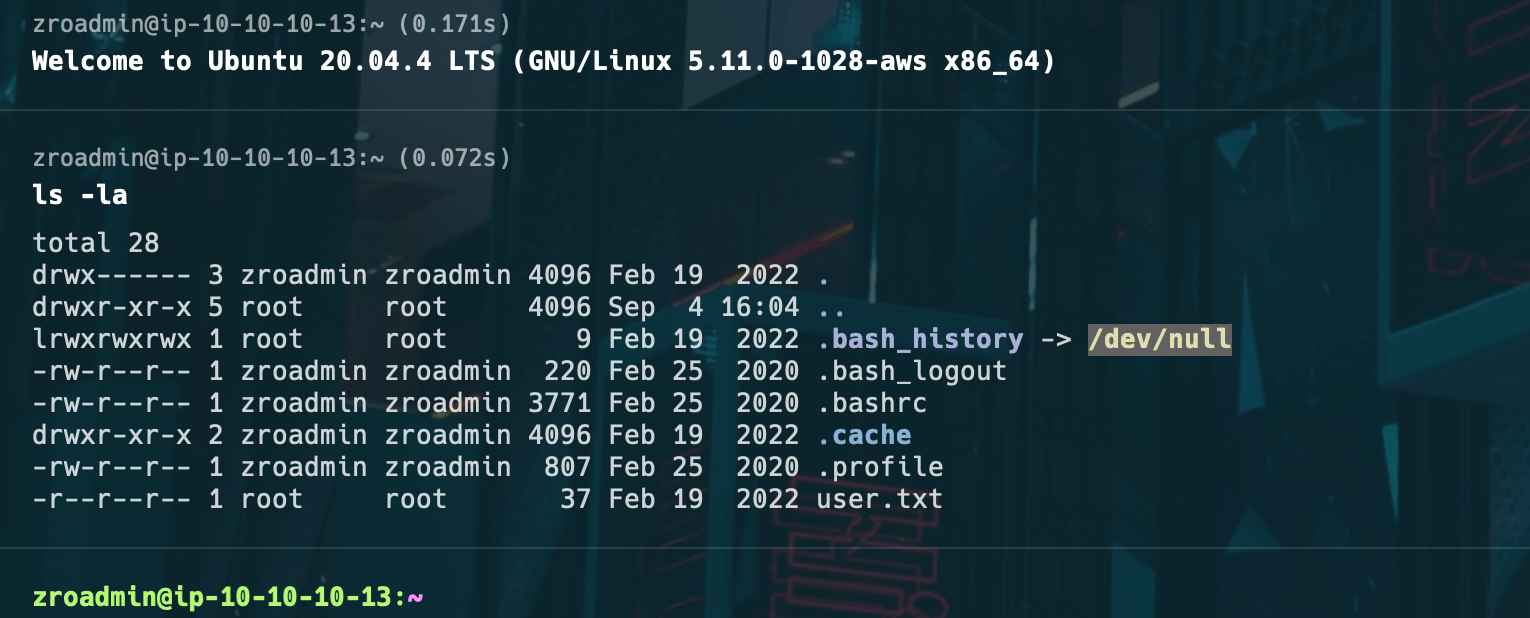 Root flag file